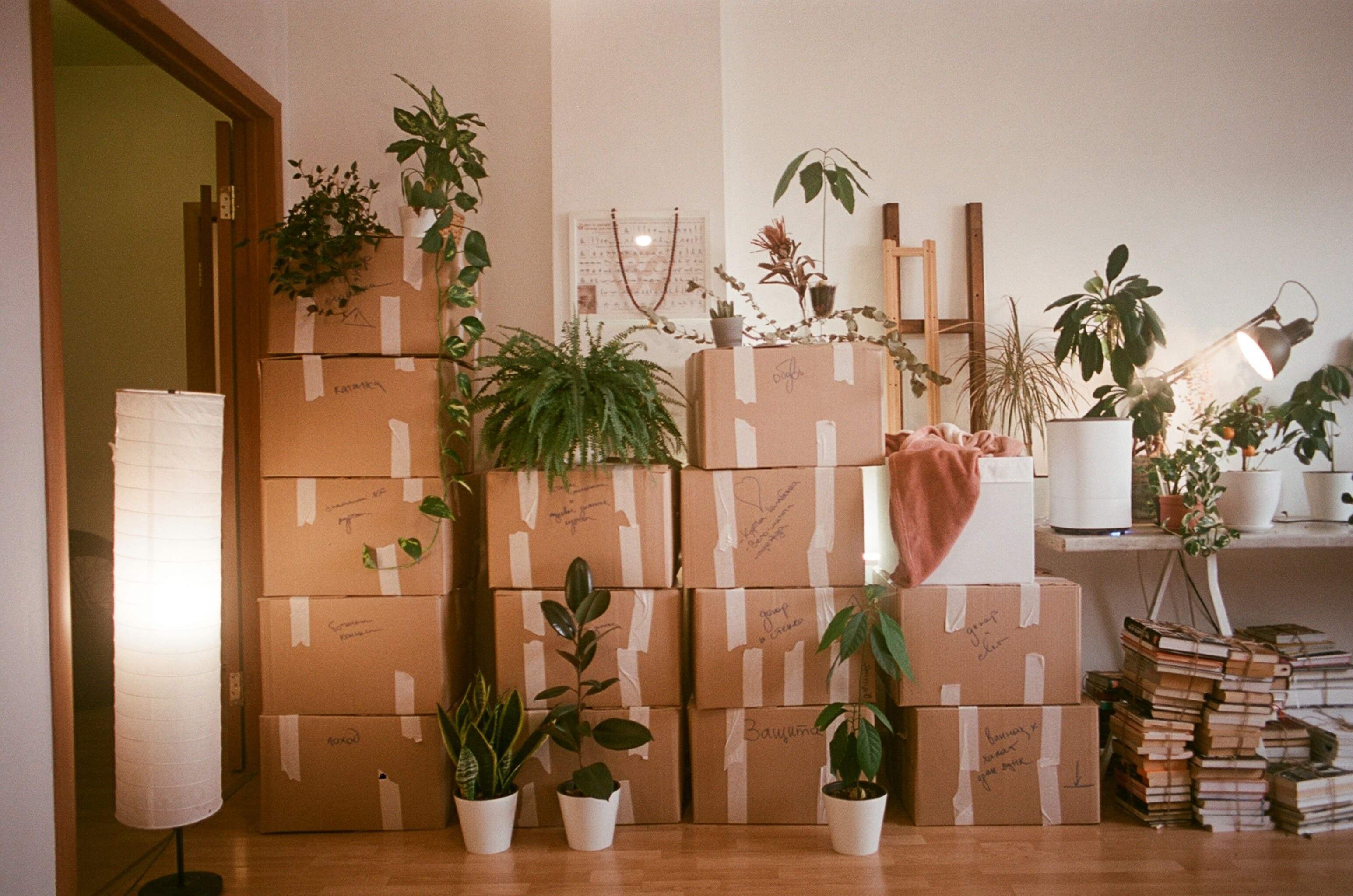 Flytteesker. Foto: Dina Badamshina, Unsplash.